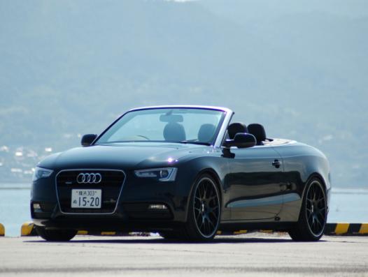 XYZ SSタイプ車高調 AUDI A5 カブリオレ クワトロ B8 ABA-8FCALF/DBA-8FCALF/ABA-8FCDNF/DBA-8FCDNF 2009〜2017 SS-AU26