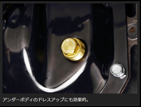 Genb 軽量フィラーボルト タイプDIFF ゴールド ニッサン NV350キャラバン E26 EFB03GS