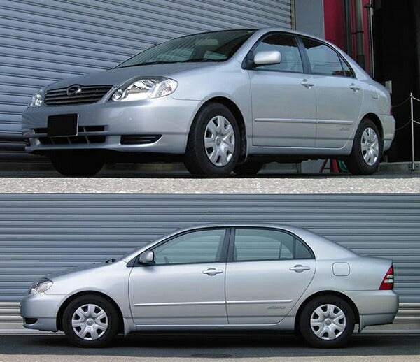 RS-R Ti2000 DOWN トヨタ カローラ NZE124 2000/08〜2004/03 T038TDF