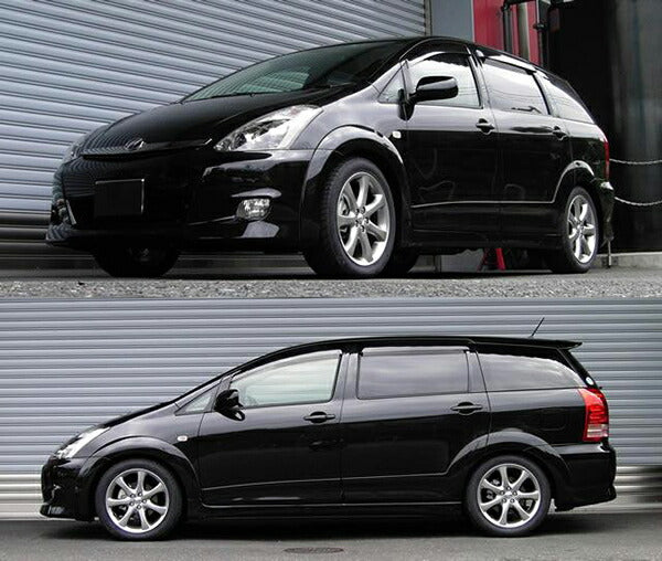 RS-R RS★R DOWN トヨタ ウィッシュ ANE11W 2005/09〜2009/03 T862WR