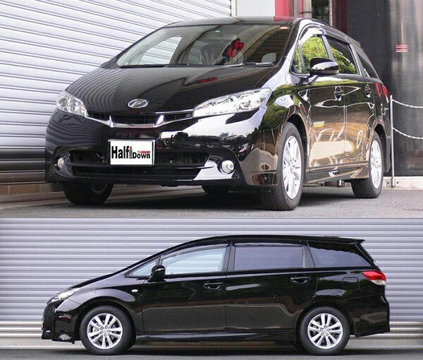 RS-R Ti2000 HALF DOWN トヨタ ウィッシュ ZGE20W 2009/04〜2012/03 T865THD