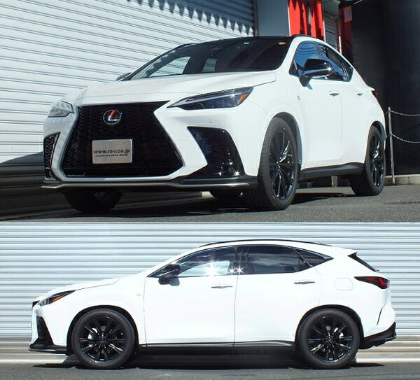 RS-R RS★R DOWN レクサス NX350h AAZH20 2021/11〜 T539DF