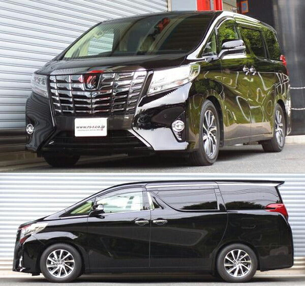 RS-R RS★R DOWN トヨタ アルファード GGH30W 2015/01〜 T941W
