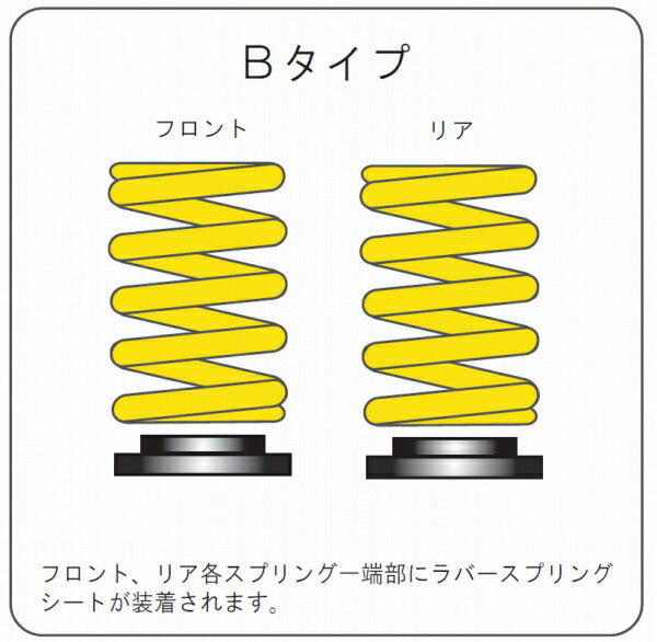 ENDLESS ZEAL FUNCTION プラス10 Bタイプ ニッサン スカイライン ER34 ZS106P10B