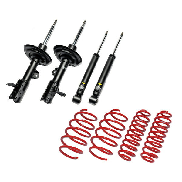 TANABE DEVIDE UP210+UP DAMPER KIT RAV4 MXAA54 2019年04月〜 (H31〜) 【UDMXAA54SPK】 リフトアップサスペンションキット 1台分セット