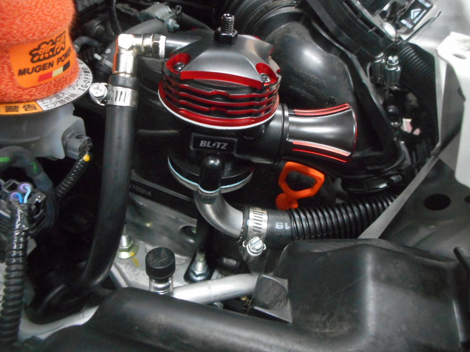 DSCN6459-1.jpg