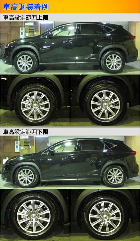 Largus Spec S レクサス NX300h AYZ10