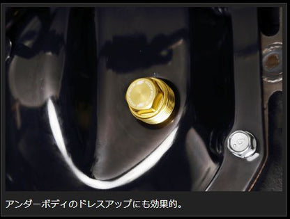 Genb 軽量フィラーボルト タイプDIFF ゴールド ニッサン NV350キャラバン E26 EFB03GS