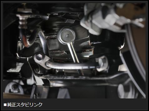 Genb アジャスタブルスタビリンク リア トヨタ アルファード AGH30/AGH35/GGH30/GGH35/AYH30 SAL052S