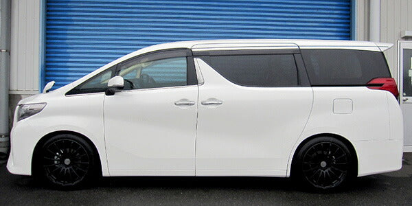 HKS HIPERMAX S トヨタ ヴェルファイア AGH30W 2015/01〜2017/12 80300-AT210