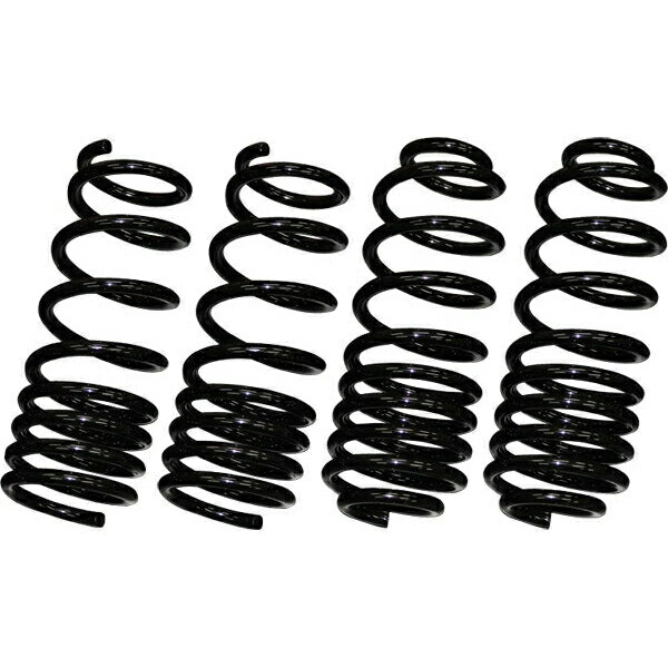 FINAL KONNEXION BLACK SUS スバル R1 RJ1 2004/01〜2010/03 BF011A