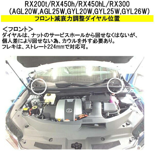 RS-R Best☆i Active Flexible Adjuster レクサス RX200t AGL25W 2015/10〜2017/11 FA224B