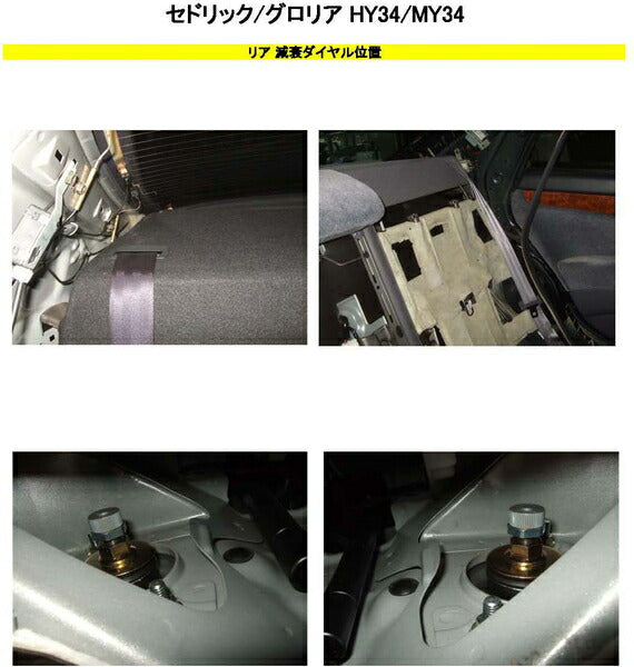 RS-R Best☆i Flexible Adjuster ニッサン セドリック HY34 1999/06〜2004/10 FA224B