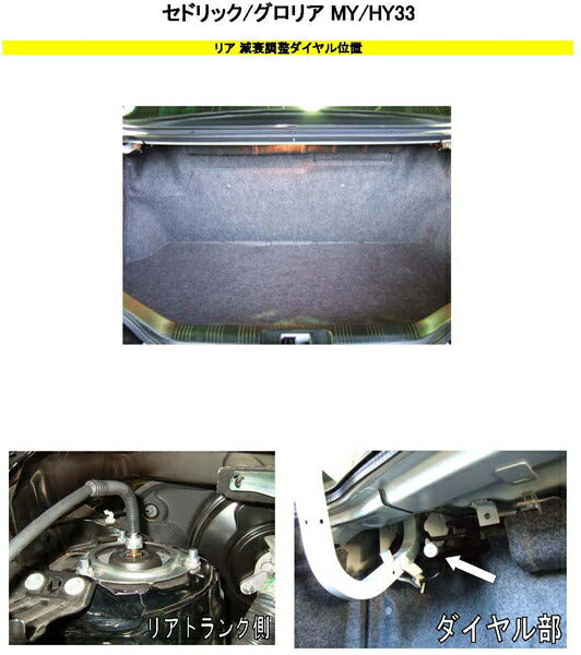 RS-R Best☆i Flexible Adjuster ニッサン セドリック HY33 1995/06〜1999/05 FA430B