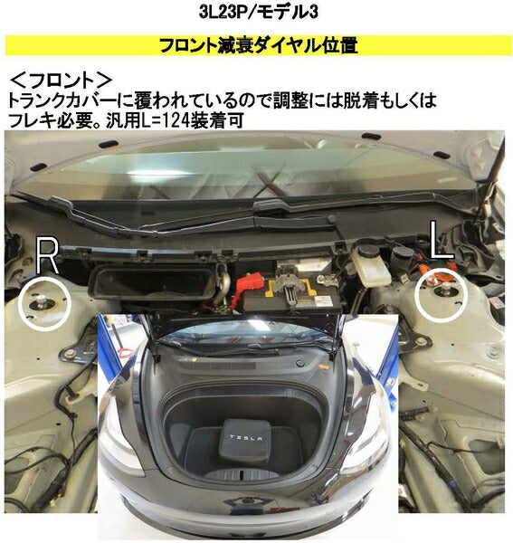 RS-R Best☆i Flexible Adjuster TESLA モデル3 3L23P 2019/09〜 FA124B