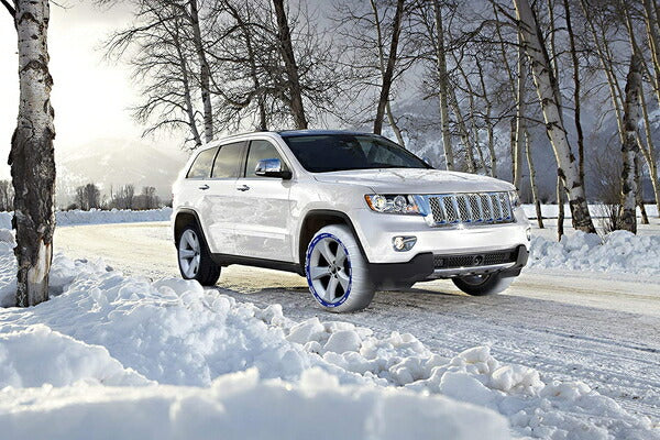 SPARCO SNOW SOCKS ハイパフォーマンスモデル 汎用品 CCD-SPT621