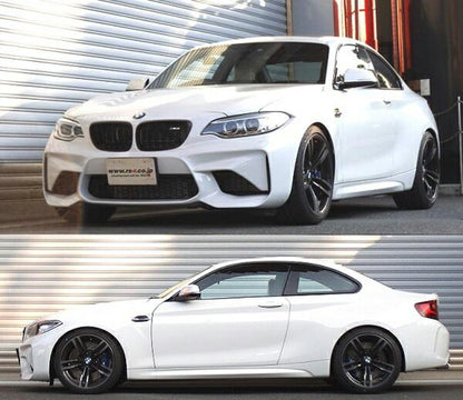 RS-R Ti2000 DOWN BMW M2 F87 1H30 2016/01〜 BM020TDR