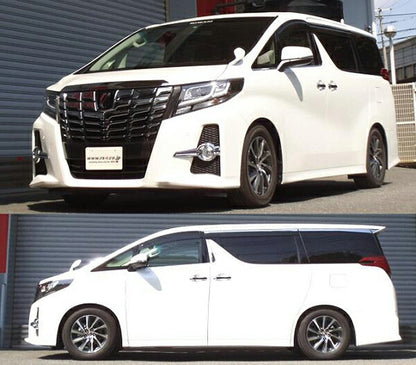 RS-R RS★R DOWN トヨタ アルファード AGH30W 2015/01〜 T940WF