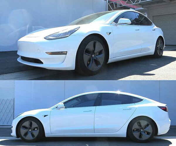 RS-R Ti2000 DOWN TESLA モデル3  2017/01〜 TL001TDR