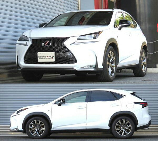 RS-R RS★R DOWN レクサス NX200t AGZ10 2014/07〜2017/08 T532DF