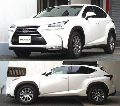 RS-R RS★R DOWN レクサス NX200t AGZ15 2014/07〜2017/08 T532D