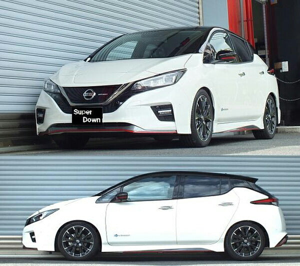 RS-R RS★R SUPER DOWN ニッサン リーフ ZE1 2018/07〜 N502SF