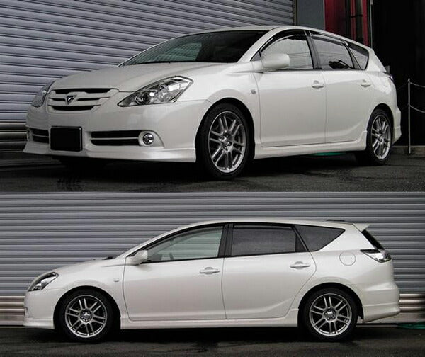 RS-R RS★R DOWN トヨタ カルディナ ZZT241W 2005/01〜2007/05 T640WF