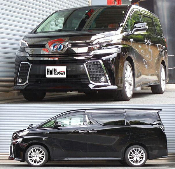 RS-R Ti2000 HALF DOWN トヨタ ヴェルファイアハイブリッド AYH30W 2015/01〜2017/12 T948THDF