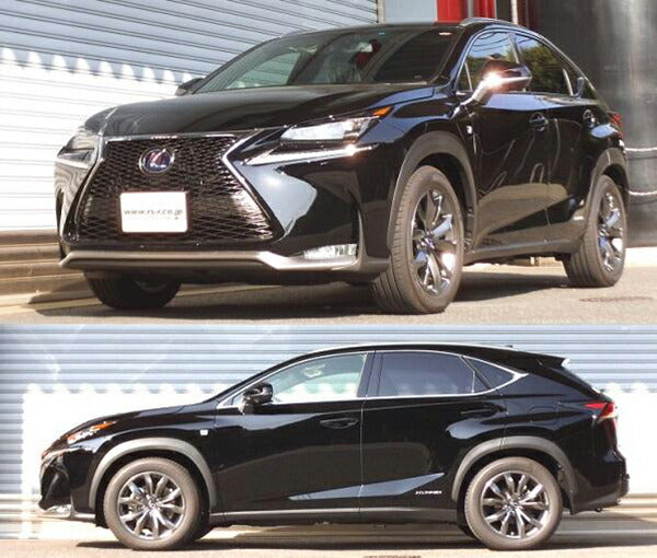 RS-R RS★R DOWN レクサス NX300h AYZ15 2015/06〜2017/08 T533DF