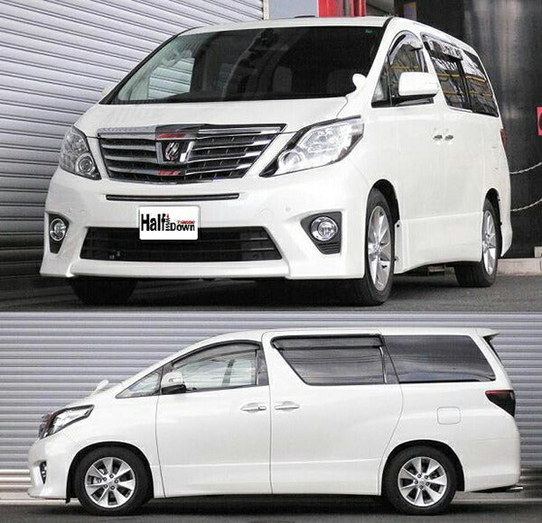RS-R Ti2000 HALF DOWN トヨタ アルファード GGH20W 2011/11〜 T846THD