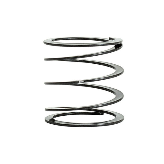 Eibach ヘルパースプリング ERS 【ERS-HELPER250T】 1本