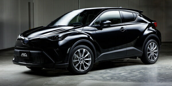 ライズ A202A アルミホイール MID ユーロスピード F10【16×6.5J 5-100