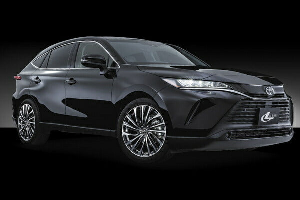 weds LEONIS/FS 【17×7.0J 5-114.3 INSET47】 ミツビシ RVR GA3W/GA4W 0039981