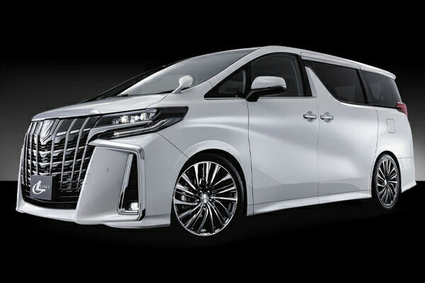 weds LEONIS/FS 【19×8.0J 5-114.3 INSET35】 0039997