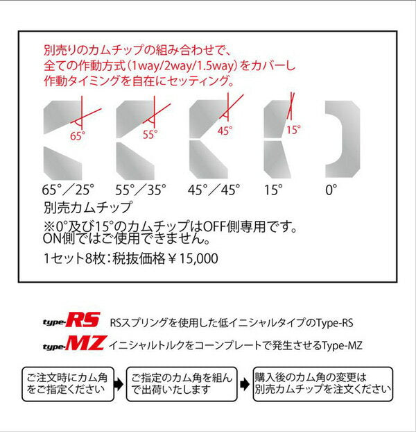 CUSCO プロ・アジャストLSD type-RS ホンダ シビックタイプR FD2 2007/03〜2010/08 LSD 331 R