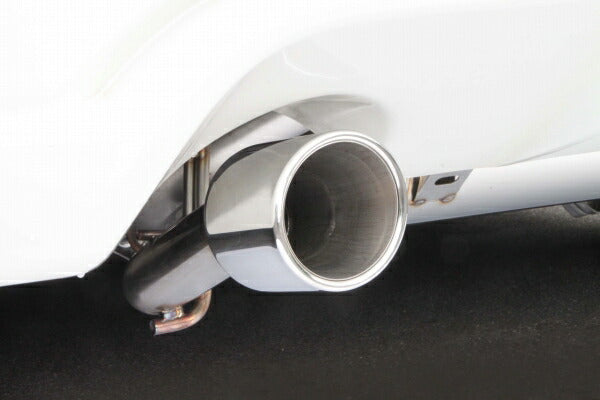 FUJITSUBO AUTHORIZE R typeS ニッサン フェアレディZ CBA-Z34 2009/06〜2013/06 550-15493