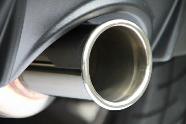 FUJITSUBO AUTHORIZE RM ミツビシ コルトラリーアートバージョンR CBA-Z27AG 2006/05〜2012/06 250-31513