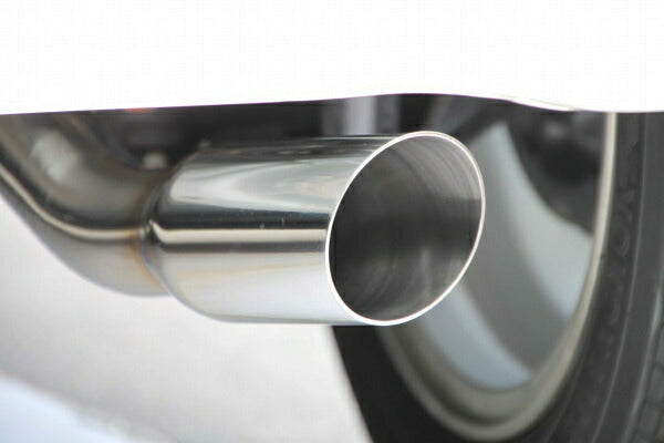 FUJITSUBO AUTHORIZE RM ホンダ N-ONE DBA-JG1 2012/11〜 250-50821