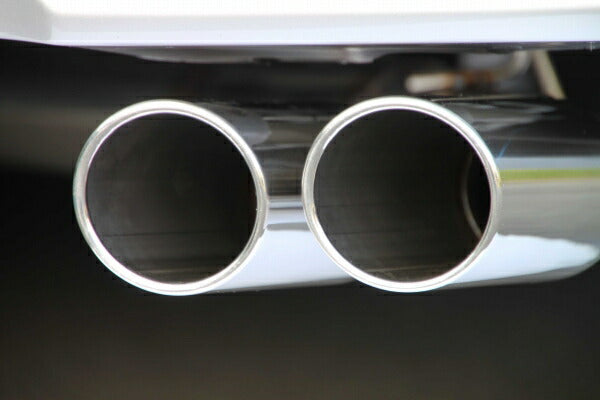 FUJITSUBO AUTHORIZE S ニッサン エルグランド DBA-TNE52 2010/08〜 370-17871