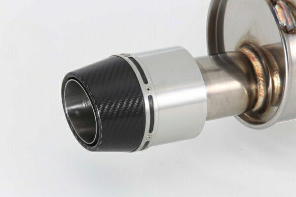 FUJITSUBO AUTHORIZE RM+c ニッサン ジュークニスモRS CBA-NF15 2014/11〜 250-11815