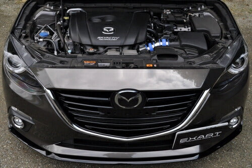 EXART エアインテークスタビライザー アクセラスポーツ DBA-BMEFS 【EA04-MZ100-N】 インテークパイプ