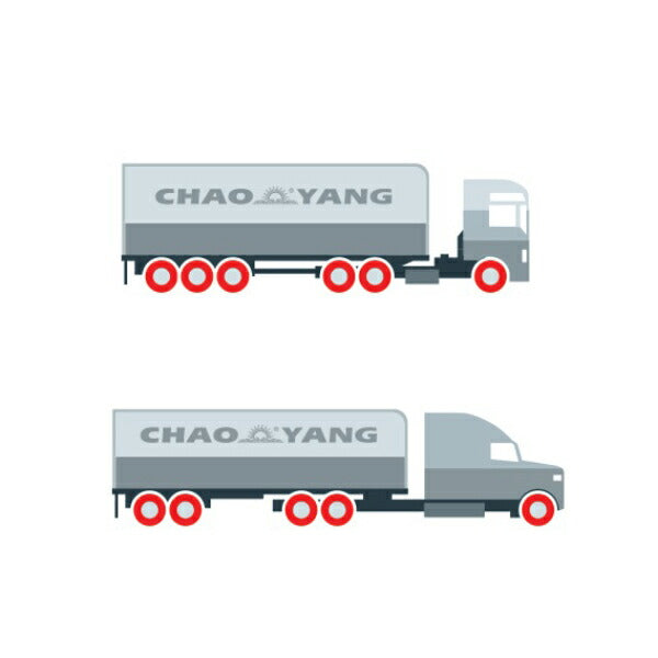 CHAOYANG スタッドレスタイヤ NS785 【265/70R19.5 16PR 140/138M】