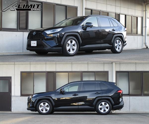 RAV4 AXAH54 ダウンサス フロント左右セット タナベ サステック X 