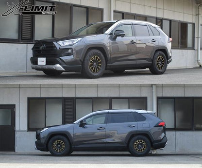 tanabe SUSTEC X-LIMIT SPRING トヨタ RAV4 MXAA54 2019/04〜 MXAA54XK