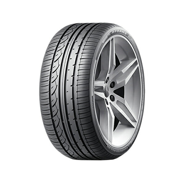 RYDANZ ROADSTER R02 【Z0032】 【225/35R19 88W】 サマータイヤ 19インチ レイダン