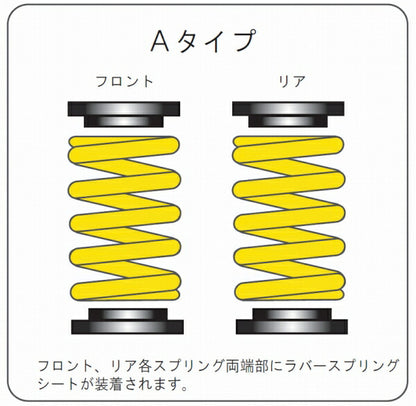 ENDLESS ZEAL FUNCTION プラス7 Aタイプ ホンダ NSX NA1 ZS561P07A