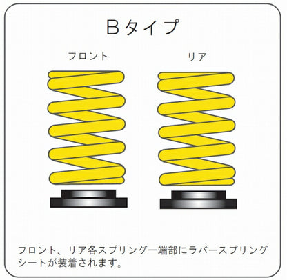 ENDLESS ZEAL FUNCTION プラス10 Bタイプ ニッサン スカイラインGT-R BNR34 ZS105P10B