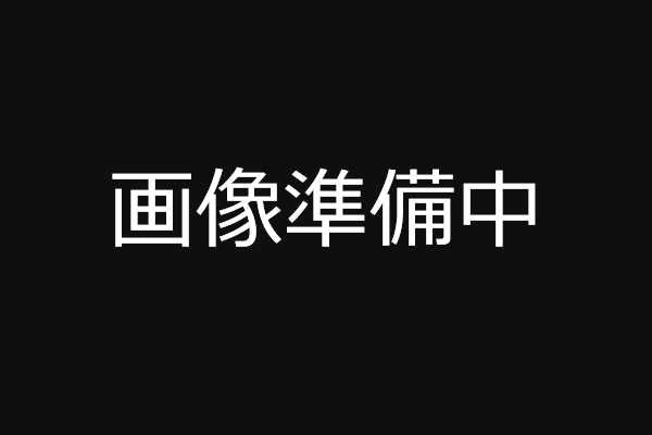 ULTRA RACING リアアンチコリジョンバー トヨタ アルファード/ヴェルファイア AGH30W/GGH30W/AGH35W/GGH35W 2015/01〜2023/06 CR2-4477