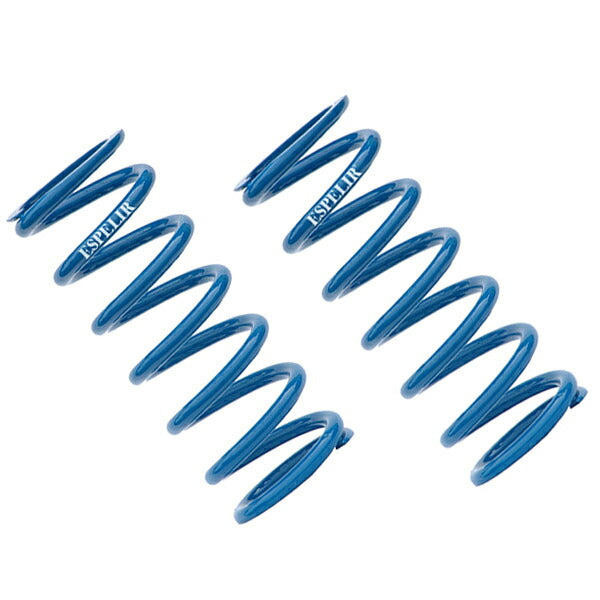 Espelir Super Downsus R  汎用品   ESR-65813