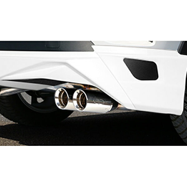 GANADOR Vertex 4WD/SUV C-HR ターボガソリン 2WD DBA-NGX10 3BA-NGX10 （6MT/CVT） 共通 R1.10〜 【GVE-031DPO】 マフラー ガナドール バーテックス 4WD/SUV